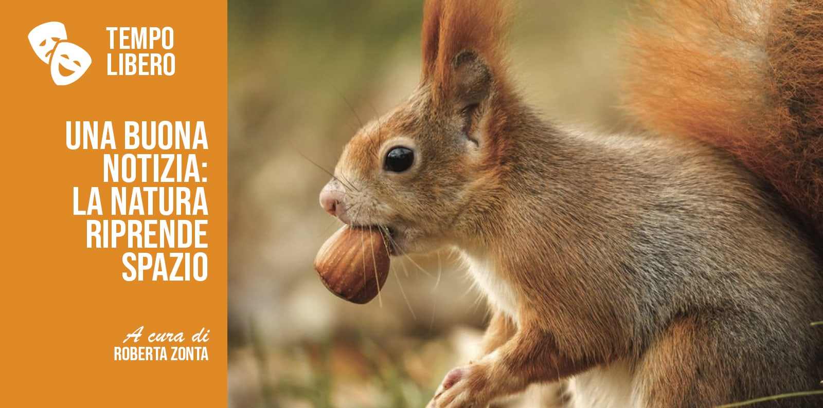 UNA BUONA NOTIZIA: LA NATURA RIPRENDE SPAZIO