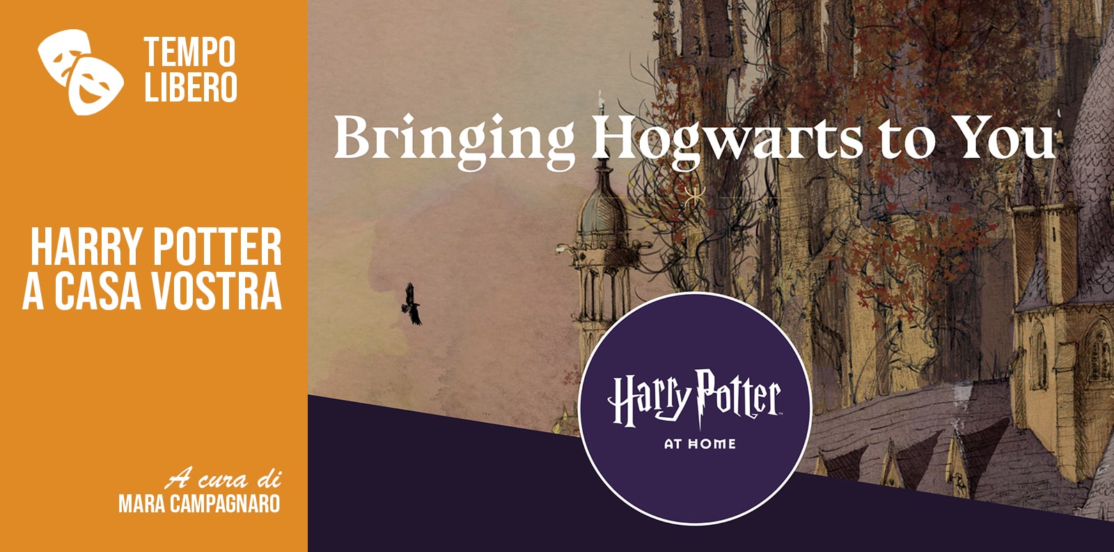 HARRY POTTER A CASA VOSTRA 