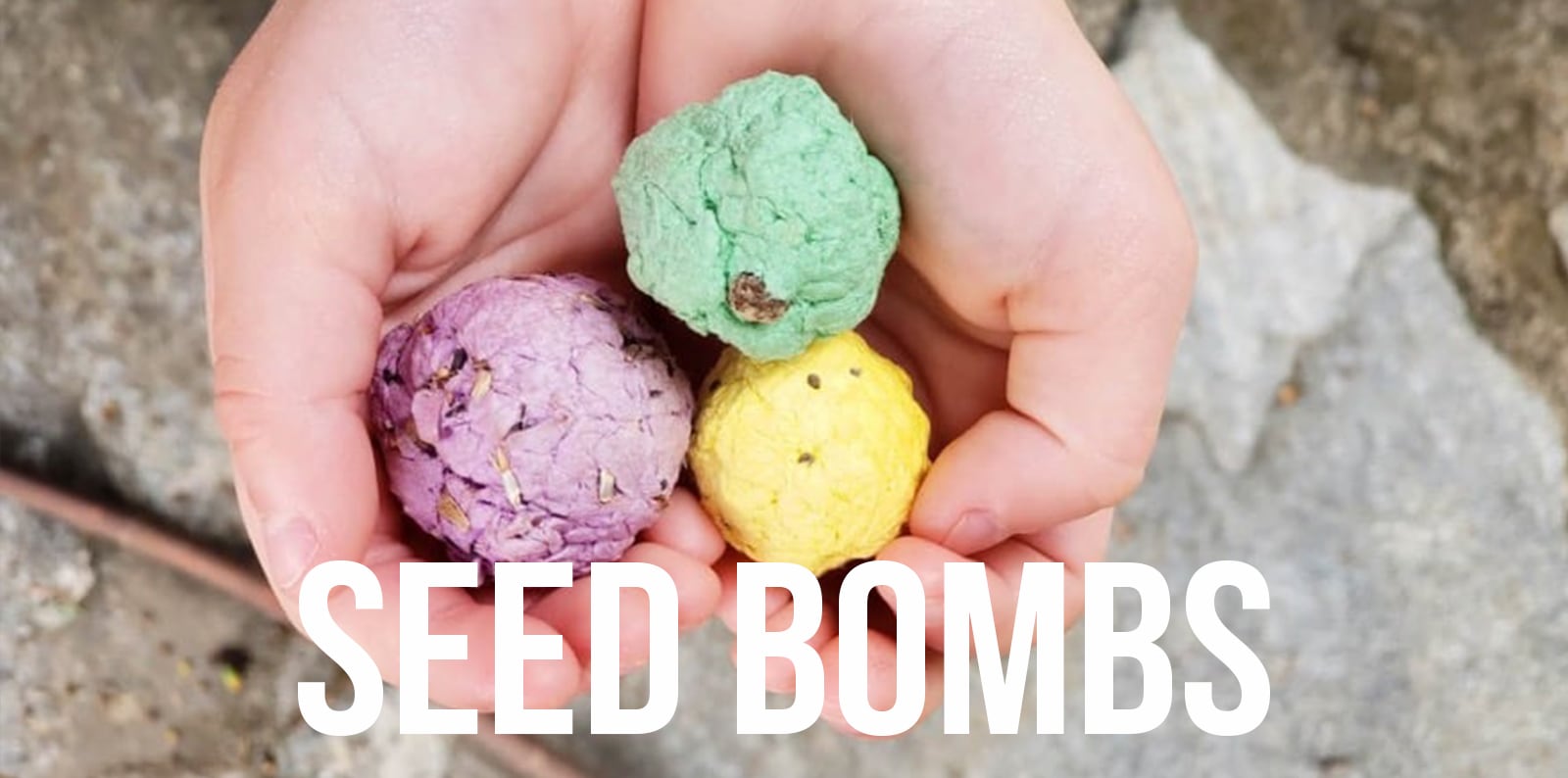 SEED BOMBS